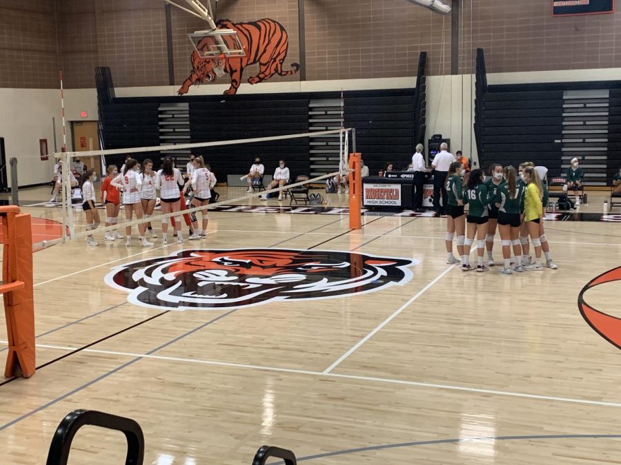 Bears volleyball falls short in 2nd round of the playoffs