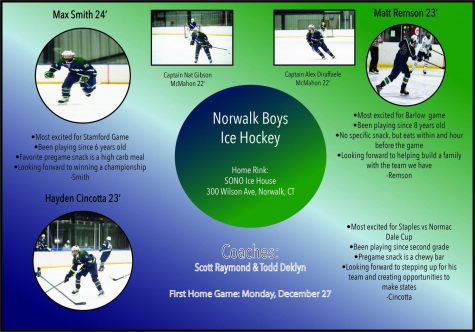 A Beginners Guide to the NorMac Ice Hockey Season