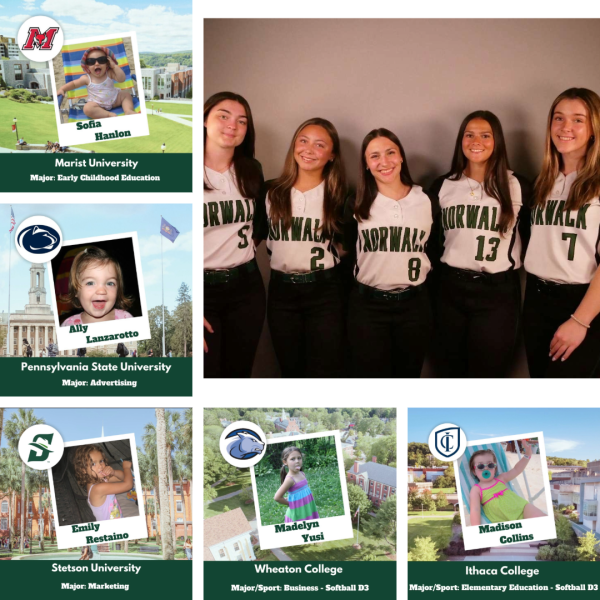 Seniors Around Norwalk Softball