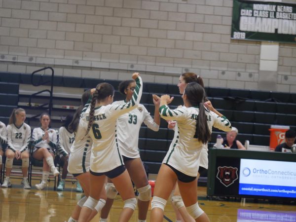Serving it Up: Beginners Guide to Volleyball
