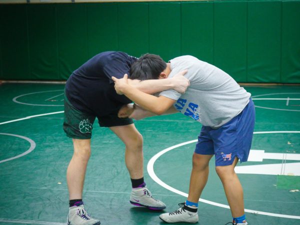 On the Mat: A Breakdown of How Wrestling Works